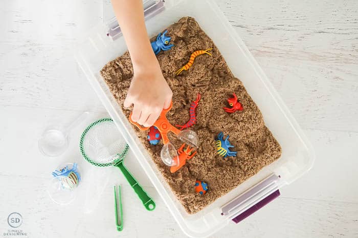 catching bugs in this DIY insect sensory bin