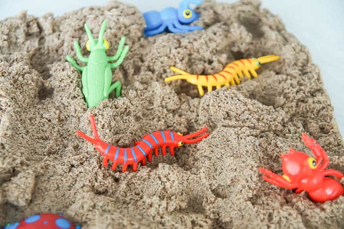 DIY Insect Sensory Bin  Simply Designing with Ashley