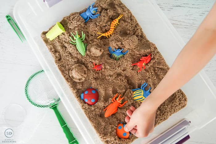 bug sensory bin