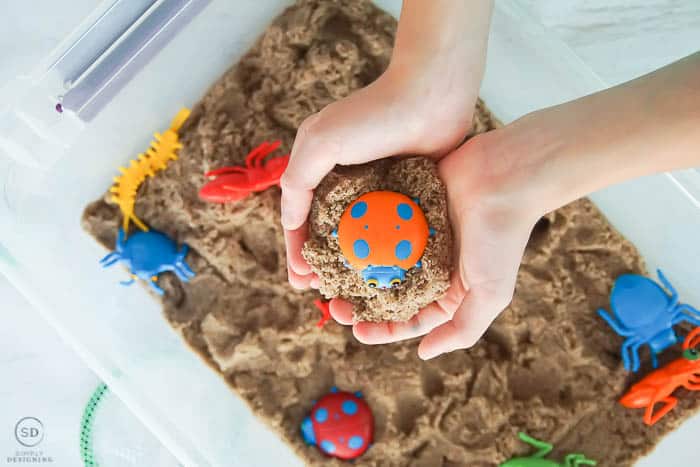 Insect Sensory Bin