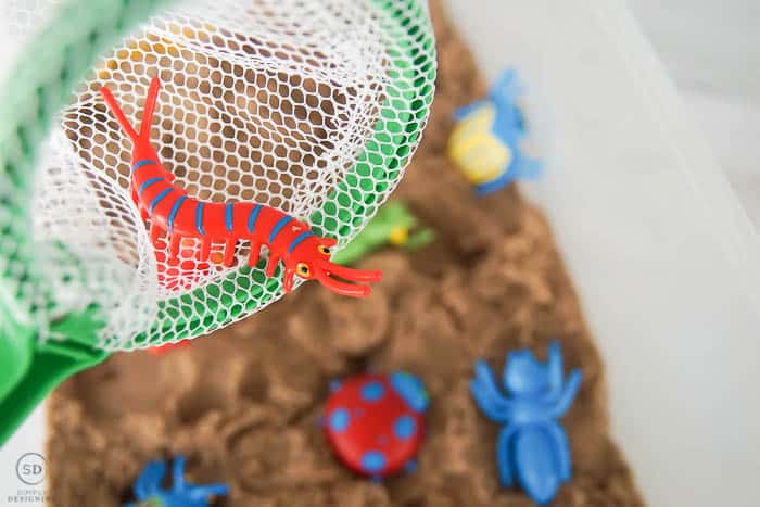 catch bugs in bug sensory activity