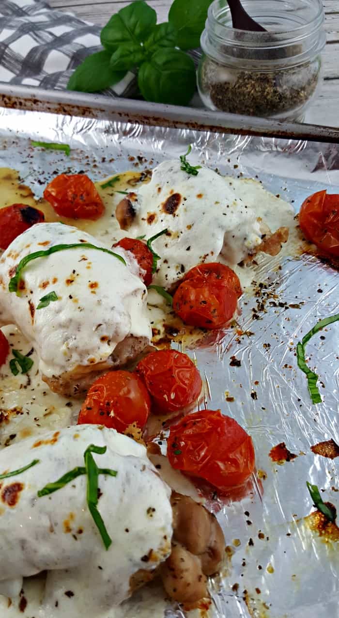 Finished Sheet Pan Caprese Chicken Dinner- chicken breasts with melted mozzarella on a tinfoil lined sheet pan with blisterd tomatoes sprinkled with olive oil and Italian seasoning and fresh basil.