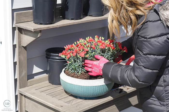 place flowers in pot