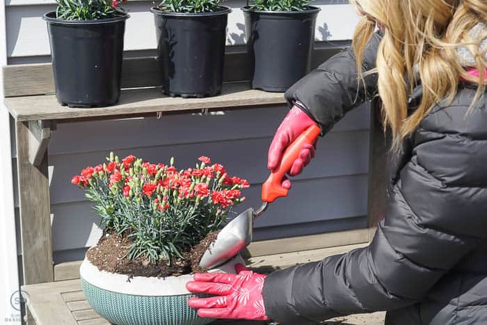 add more soil to pot