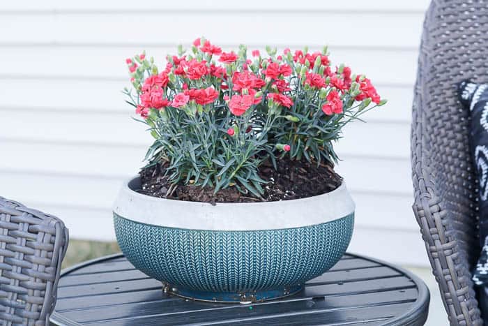 teal pot with flowers