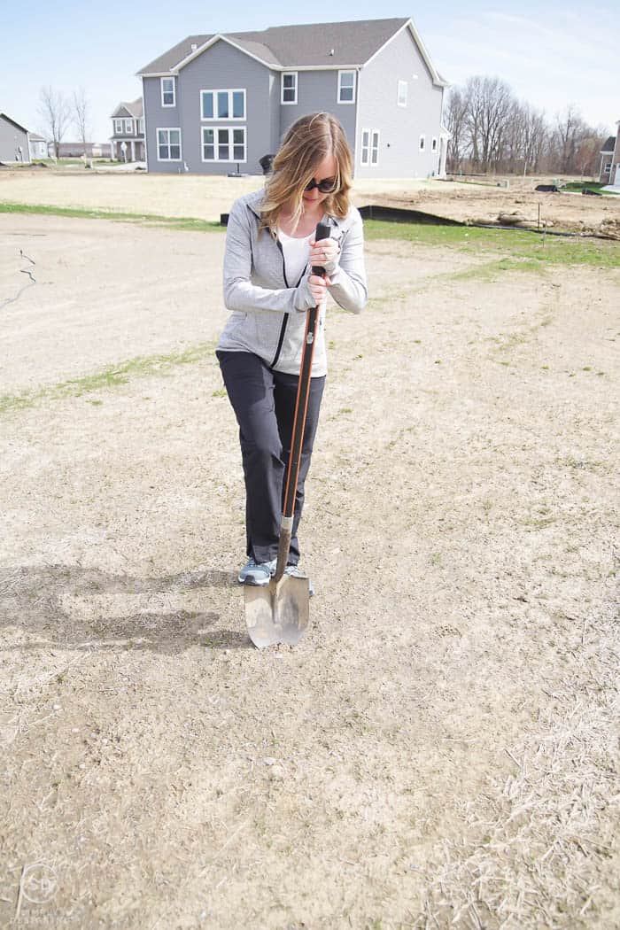 dig hole to plant a tree