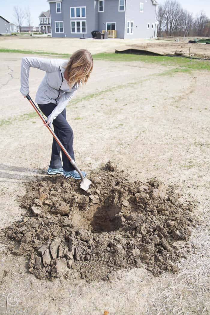 turn up soil to plant a tree