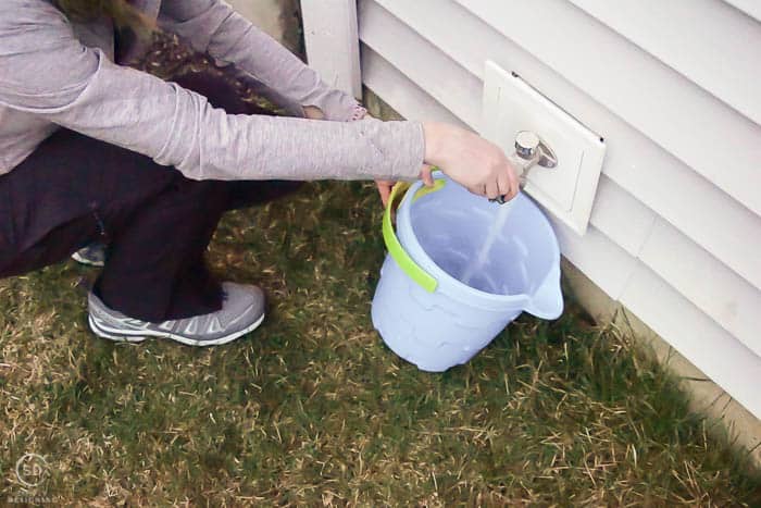 put water in bucket - water tree - how to plant a tree