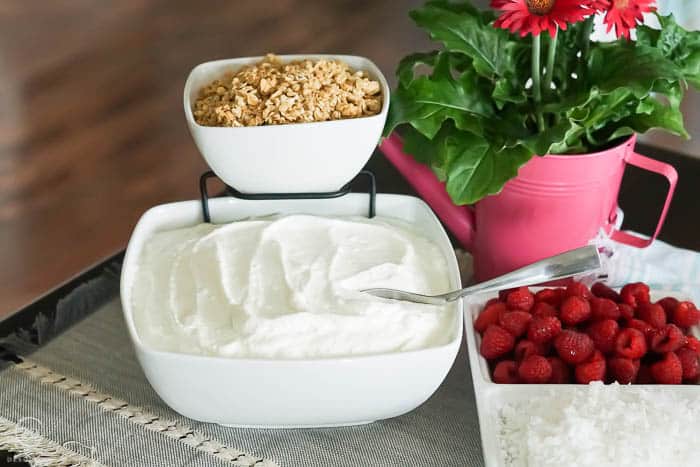 chip and dip stand used for yogurt parfait bar