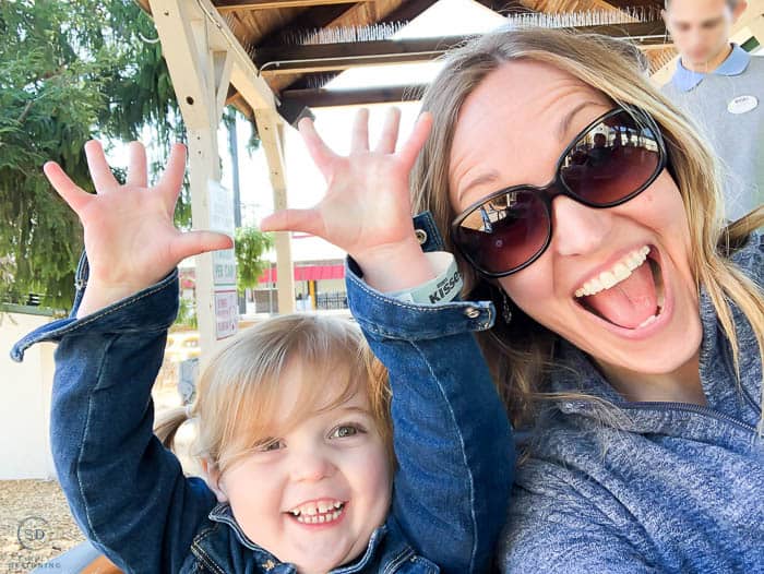 Riding a roller coaster with a 2 year old at Hershey Park