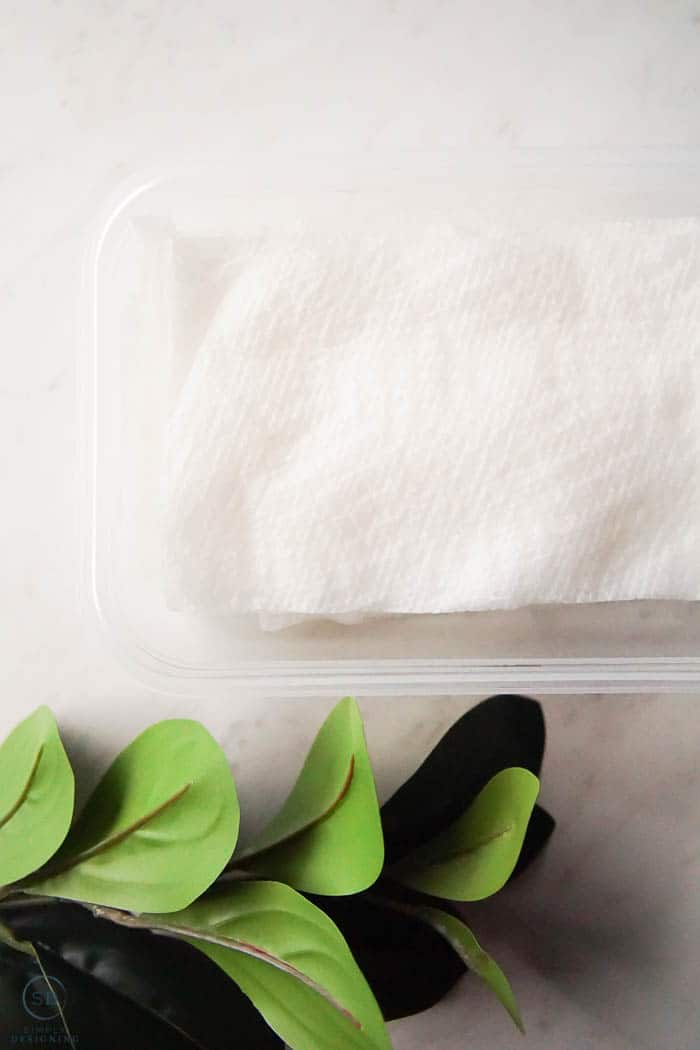 How to Make Disinfecting Wipes in a plastic container with greenery