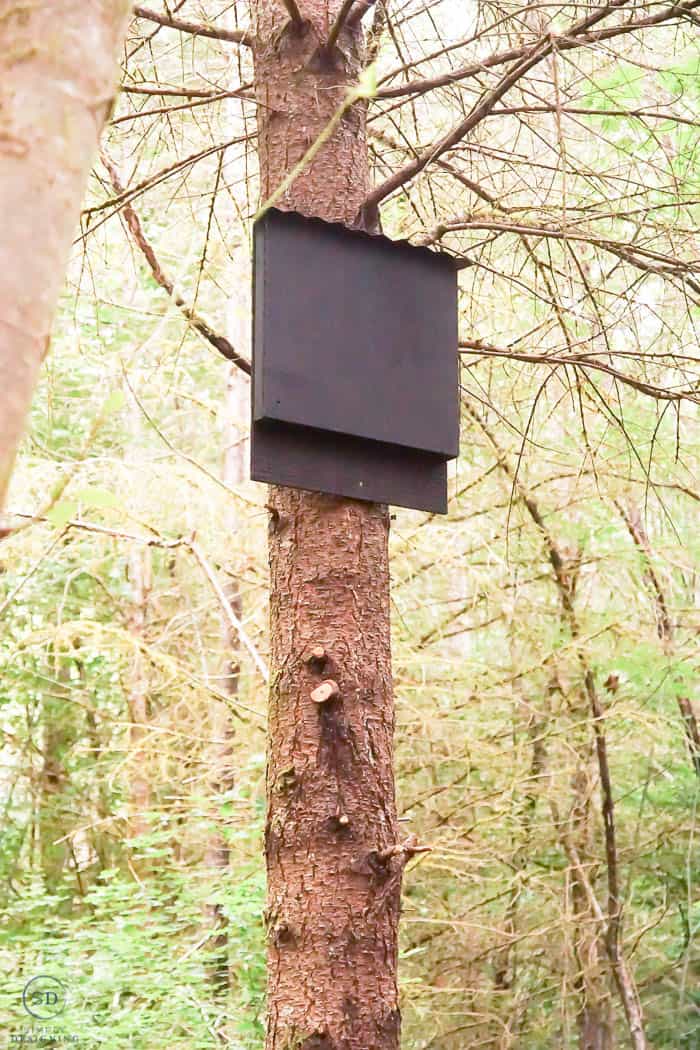 how to make a bat house