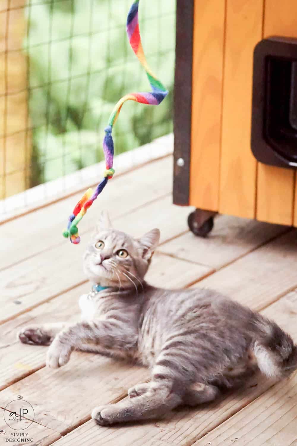 grey cat playing with a ribbon and cat house in the background